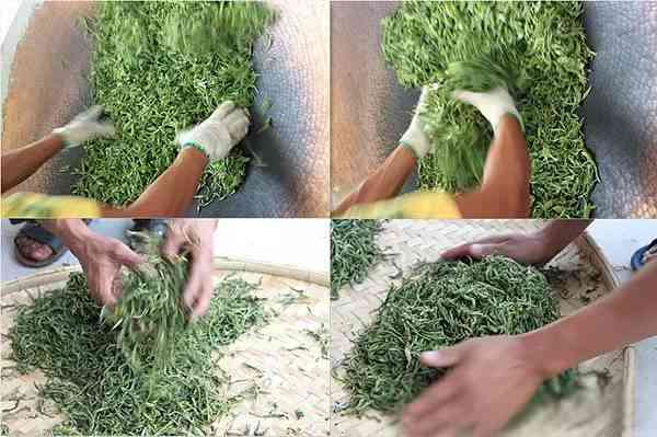 云南原生態(tài)雨林古樹(shù)普洱茶專賣(mài)店官網(wǎng) 袋裝茶的極佳選擇